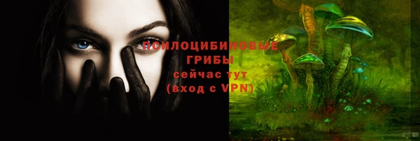 первитин Алексеевка