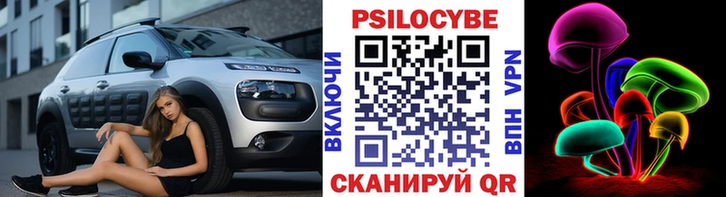 blacksprut ссылки  как найти закладки  площадка наркотические препараты  Галлюциногенные грибы Psilocybine cubensis  Раменское 